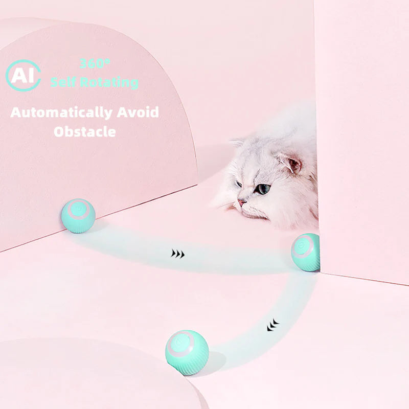 KatzenTanz™ | Aktivieren Sie die natürlichen Instinkte Ihrer Katze!