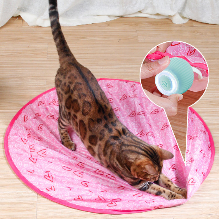 KatzenTanz™ | Aktivieren Sie die natürlichen Instinkte Ihrer Katze!