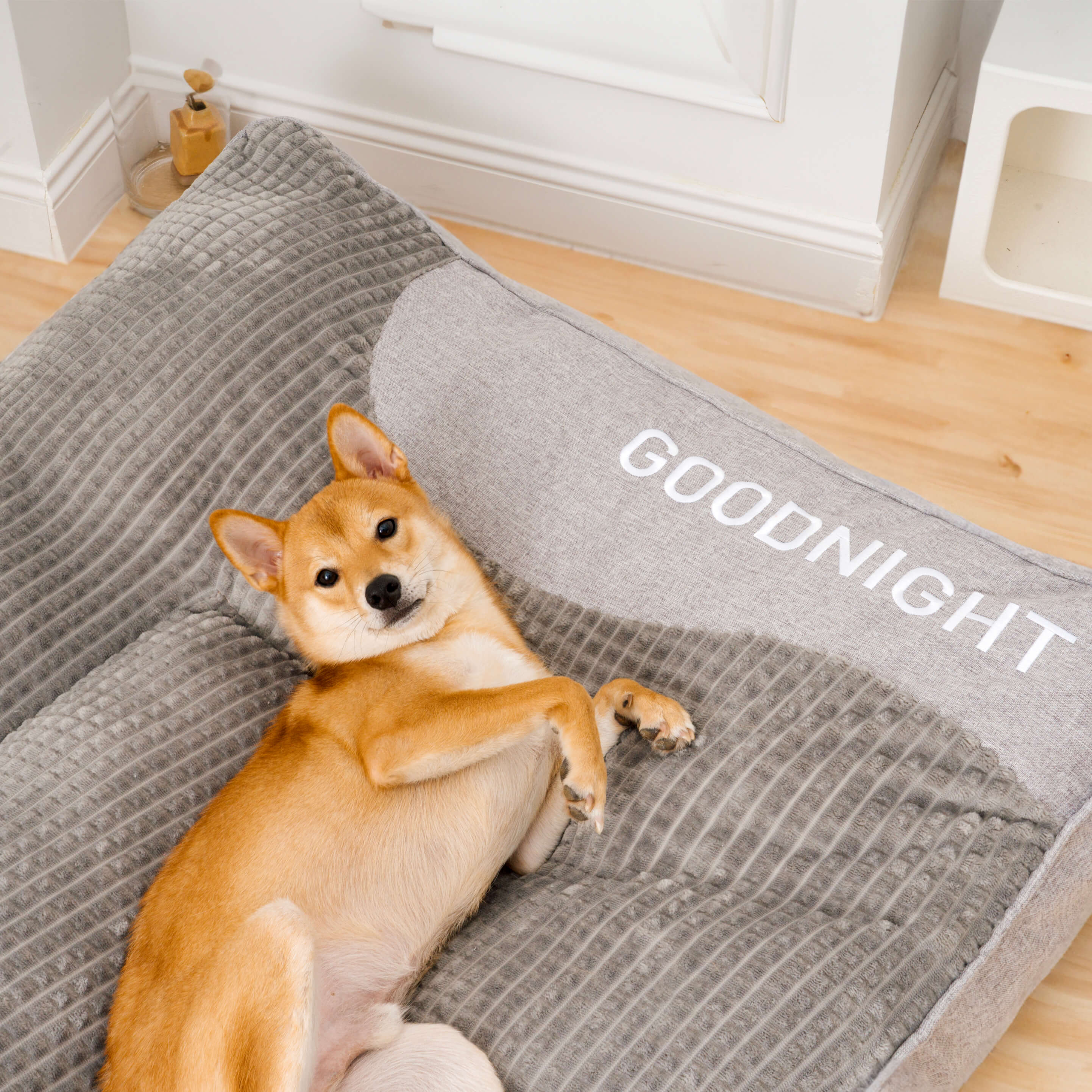 Snuggo™  | Orthopädisches Hundekissenbett mit weichem, waschbarem Bezug [Letzter Tag Rabatt]