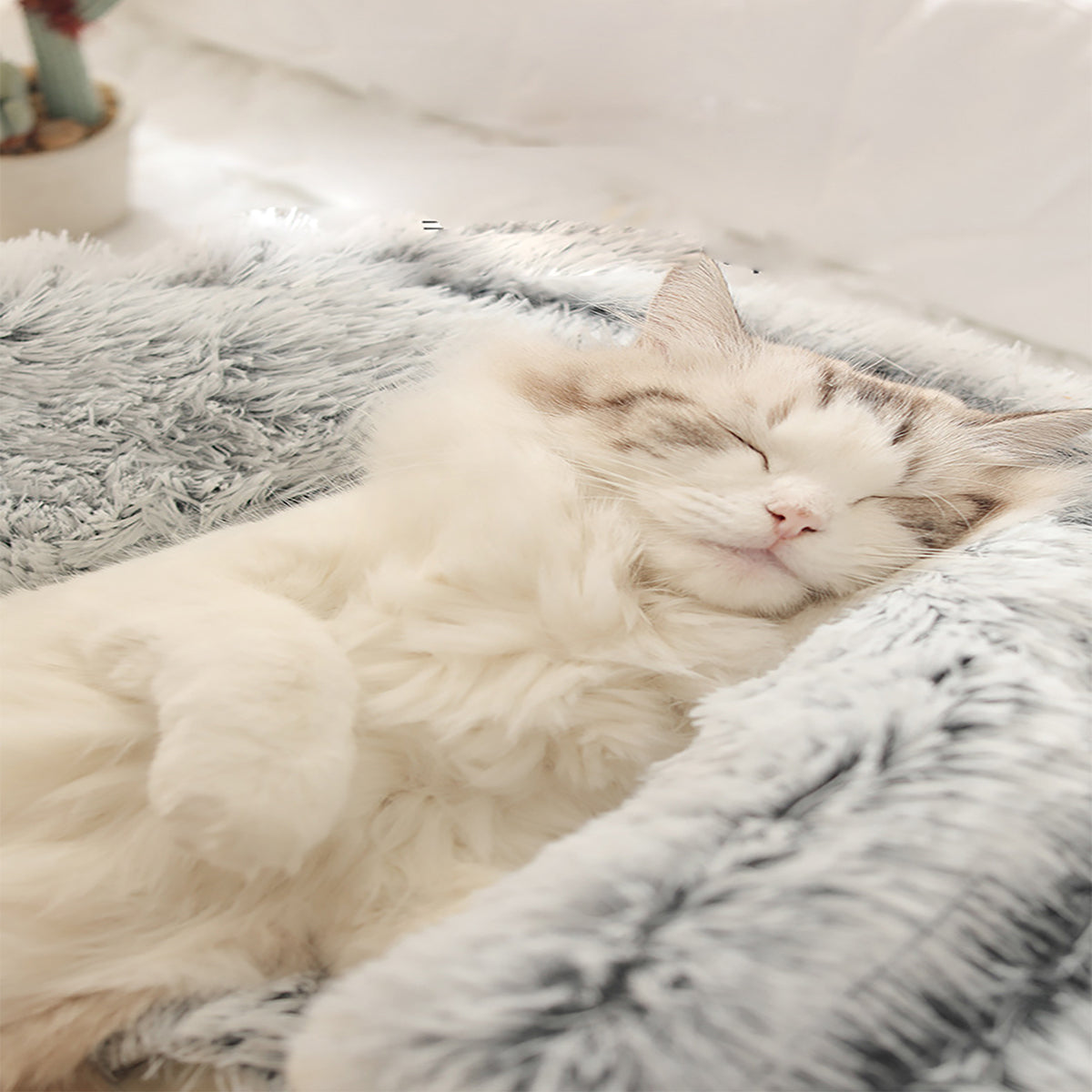 Snugpaws™ – Erholsamer Komfort für Ihr Haustier