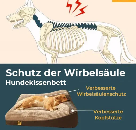 Snuggo™  | Orthopädisches Hundekissenbett mit weichem, waschbarem Bezug [Letzter Tag Rabatt]