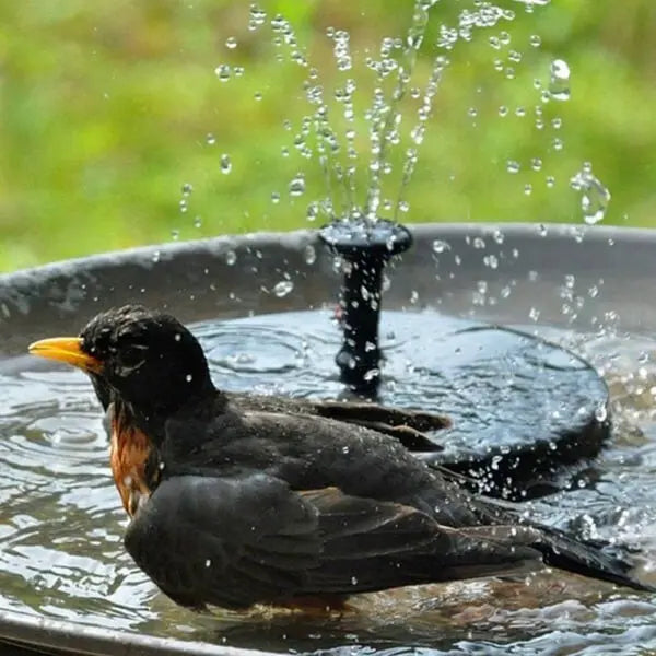 SpringSolar™ | Solarbetriebener Springbrunnen