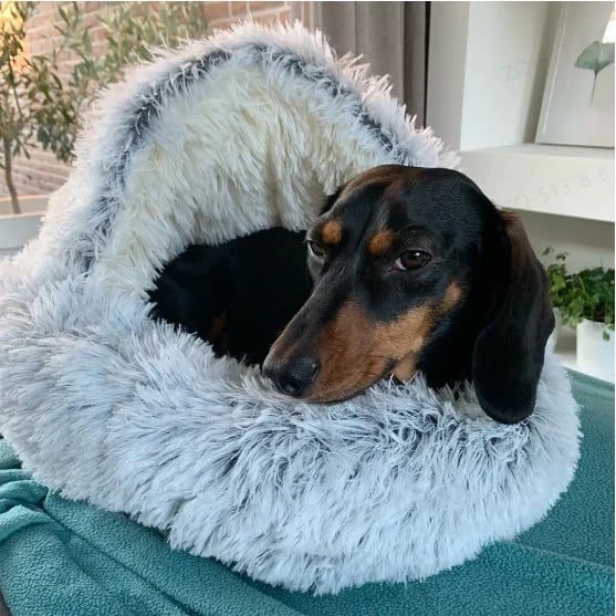 Snugpaws™ – Erholsamer Komfort für Ihr Haustier