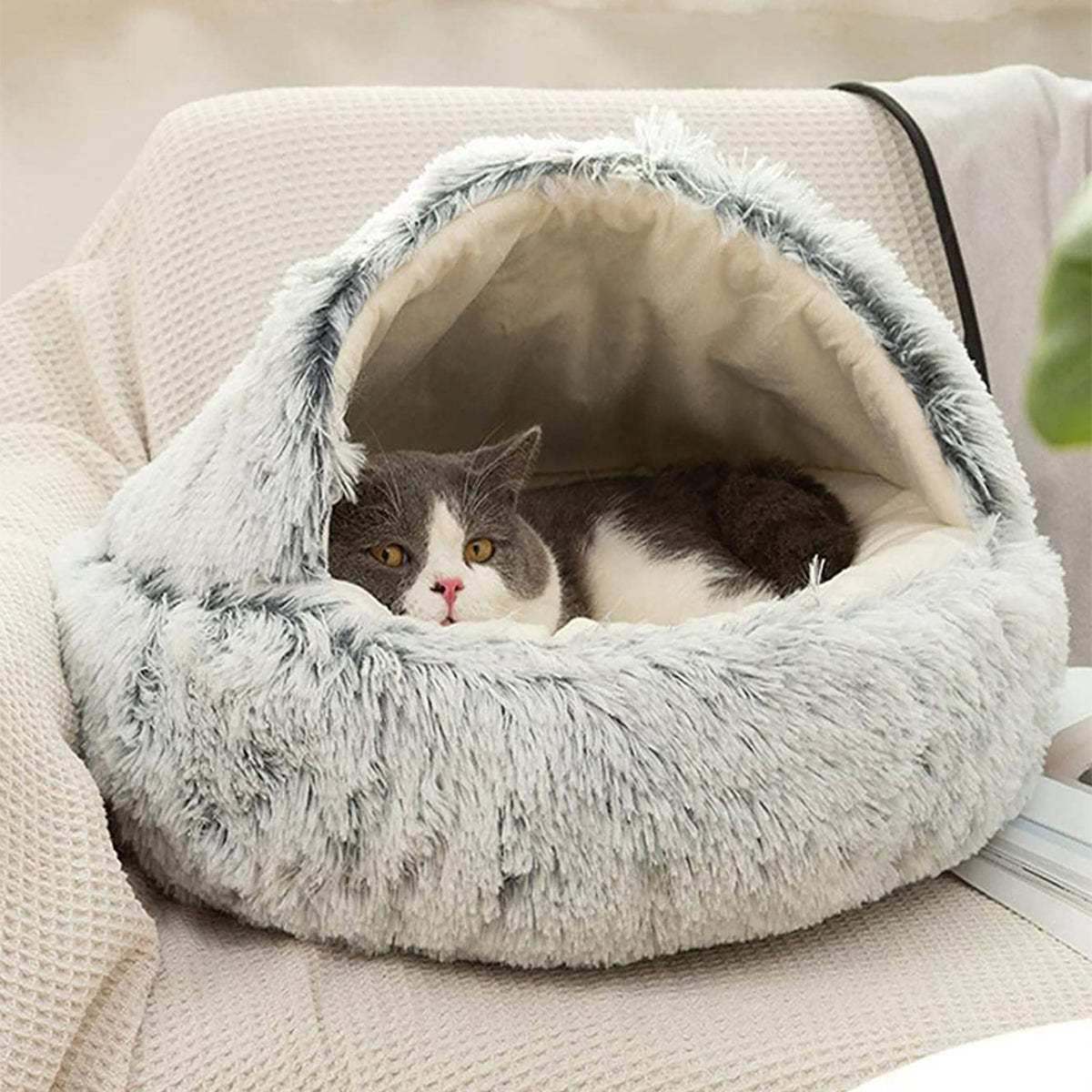 Snugpaws™ – Erholsamer Komfort für Ihr Haustier